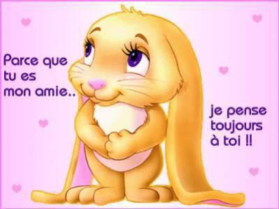 Mes amies